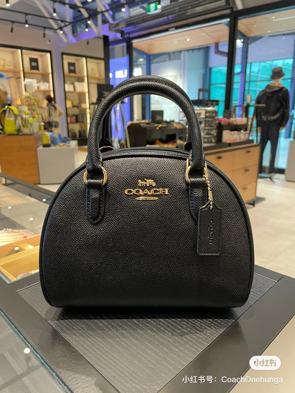 Brand  ladies  bag